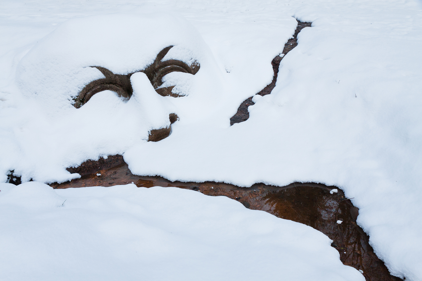 Там чудеса: там леший бродит...- 4
