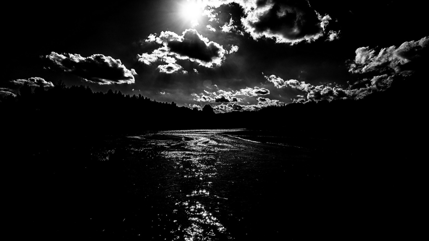 Автор всегда прав