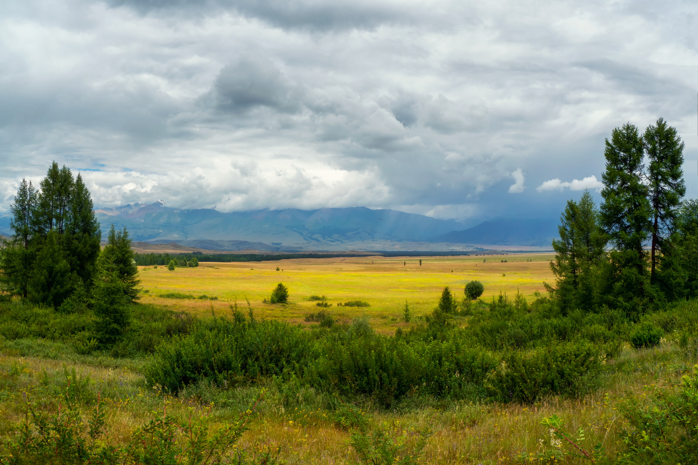 Степной простор. Курай. Республика Алтай.