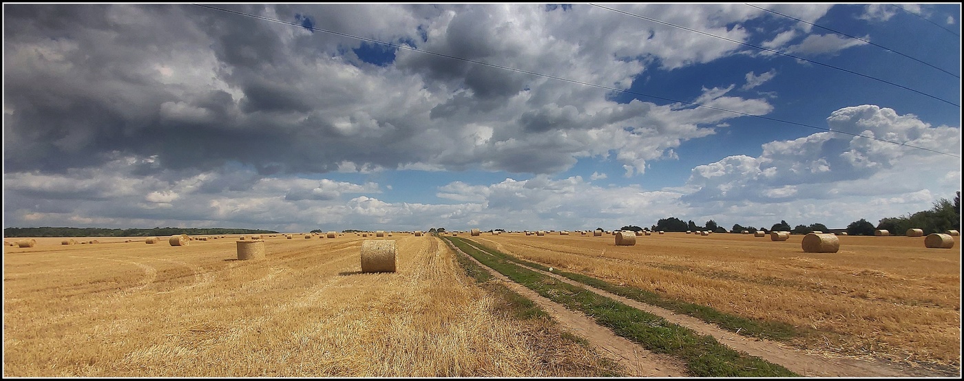 по дороге с облаками...