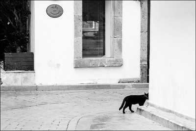 Geht in den Ruhestand