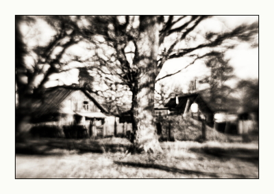 Der Geruch von Frühling