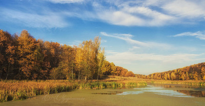 Augen, den Charme ...